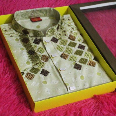 leaf-ash colour premium punjabi for men 2025